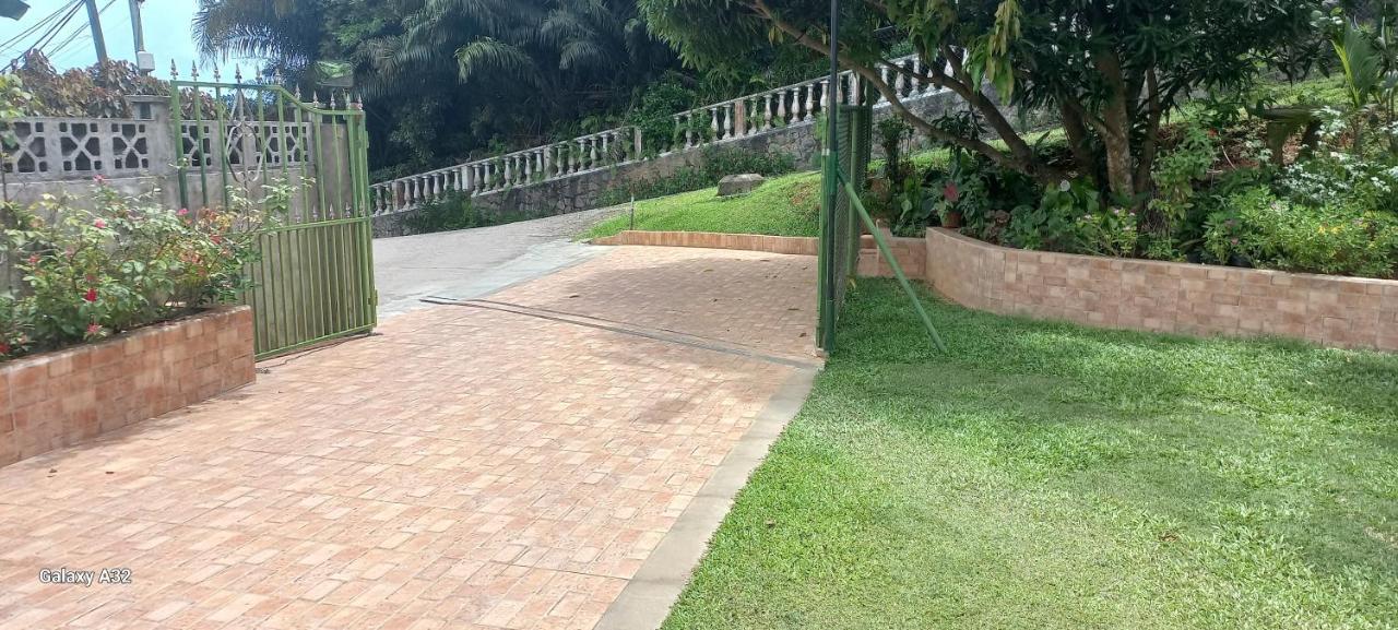 Loversnest Self Catering Anse aux Pins 외부 사진