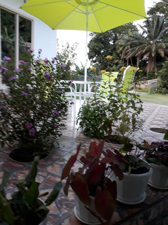 Loversnest Self Catering Anse aux Pins 외부 사진